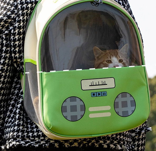 Nouveau transporteur d'animaux de compagnie pour chats et chiens, transparent à la radio, créatif, respirant et confortable.