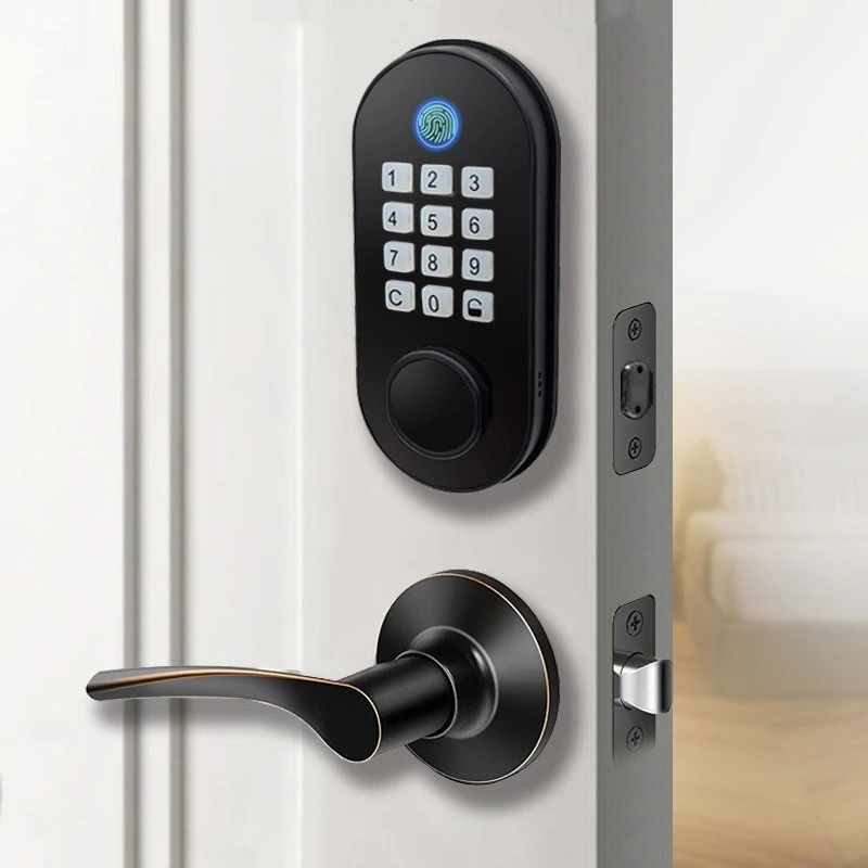 Fernbedienung Biometrisches Fingerabdruck-Passwort Smart Door Lock