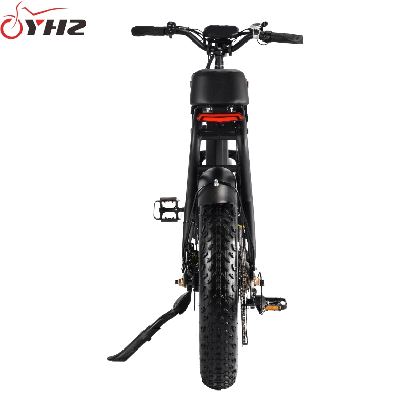 750W Adult Electric Bike USA Warehouse Spot DDP Shipment with 20-Inch Tire