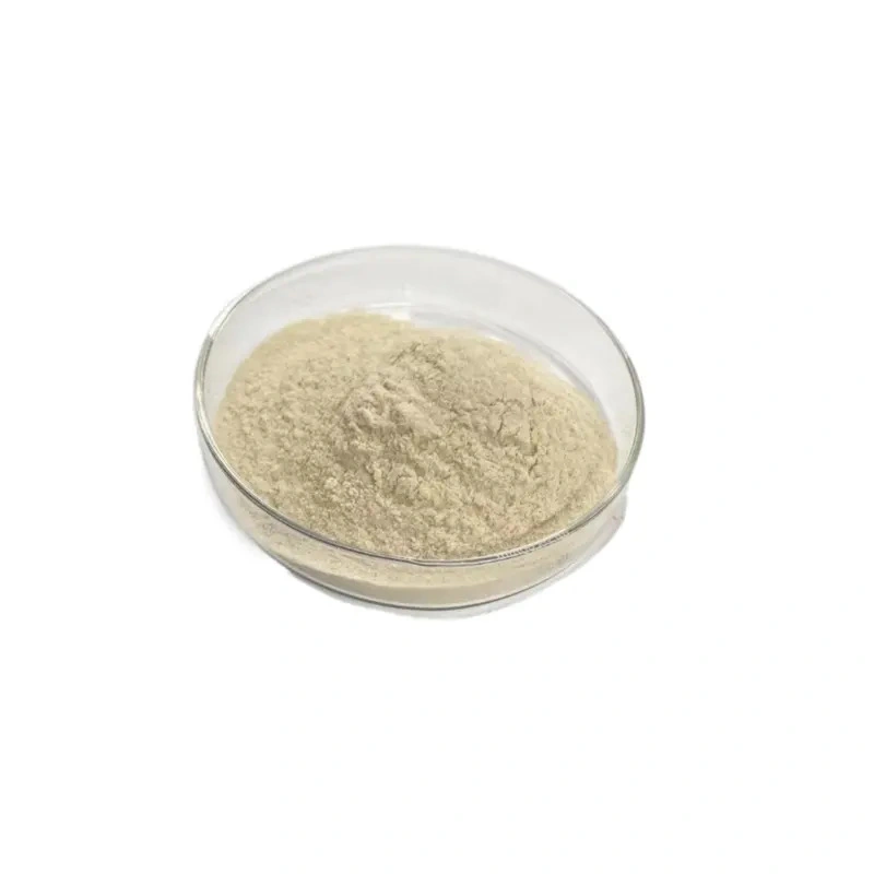 Meihua/Fufeng Polymer Yellow Powder Mesh API Food Grade Thickener Xanthan Gum Factory