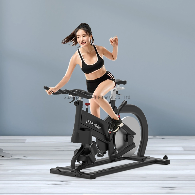 Top Grade Fitness Spin Bike Swing Spinning Exercise Bike for Gym Use