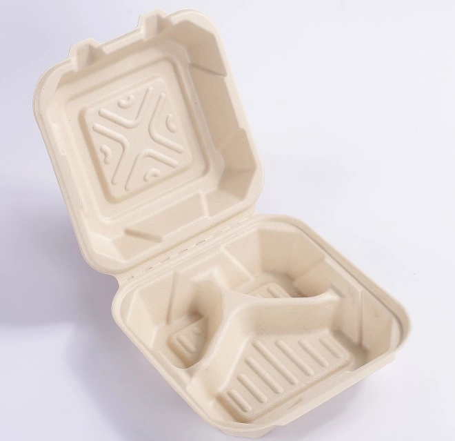 Comida ligera Multi-Square desechables Box Lunch Box Caja de embalaje biodegradables