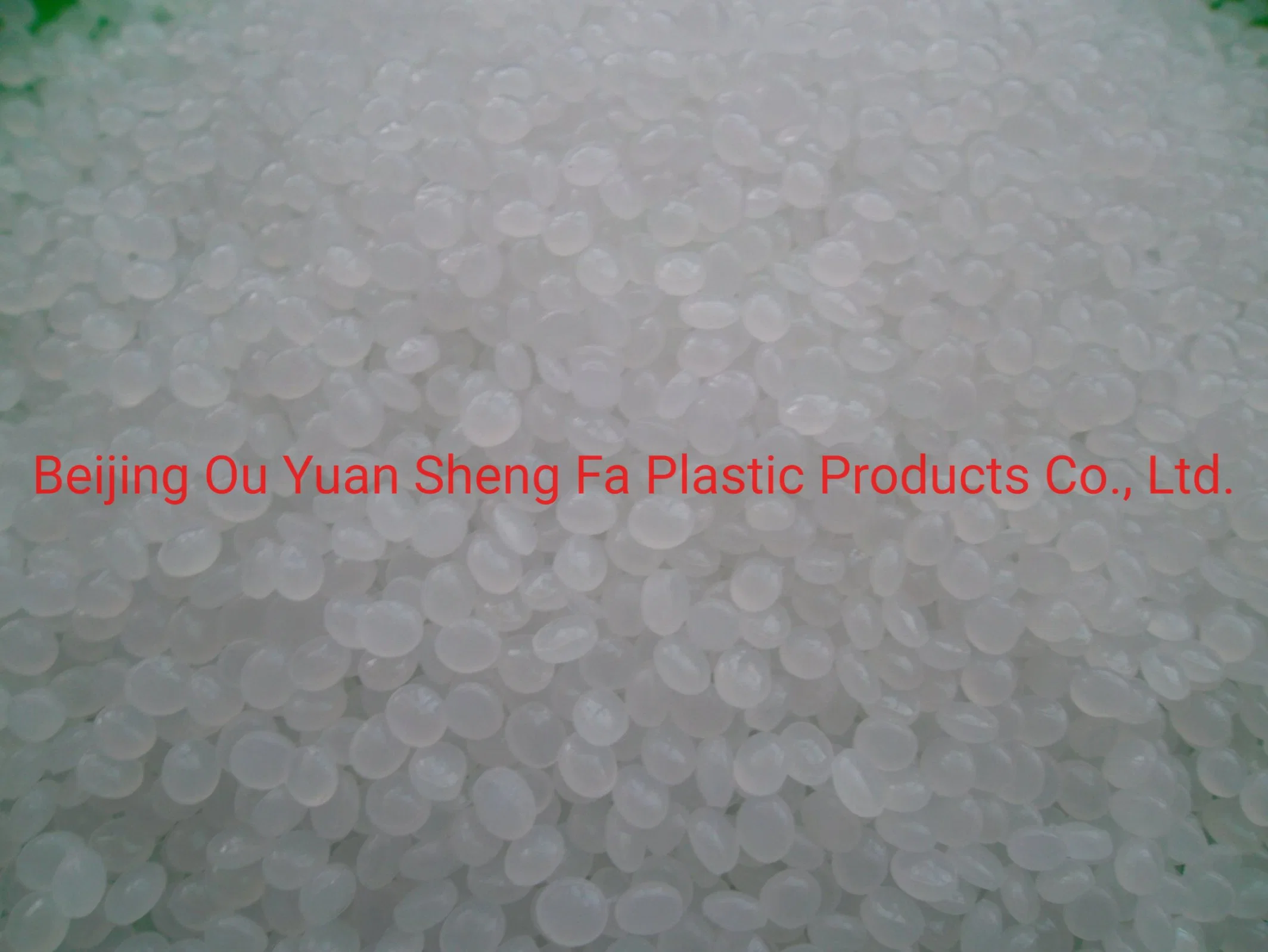 Virgin PP Injection/Blow Molding/Extruction Best Quality