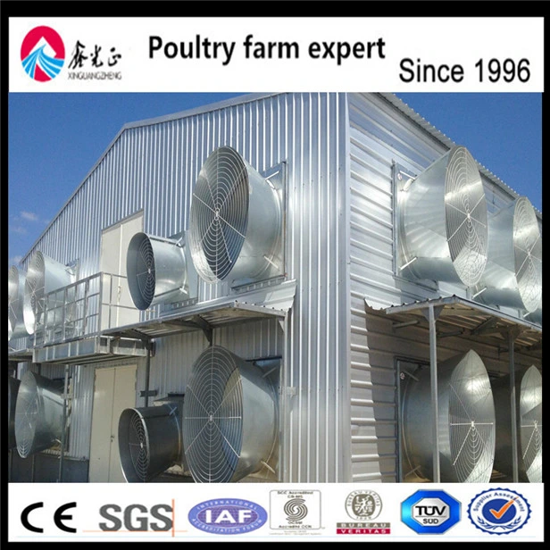 Automatic Poultry Equipment with Ventilation Fan