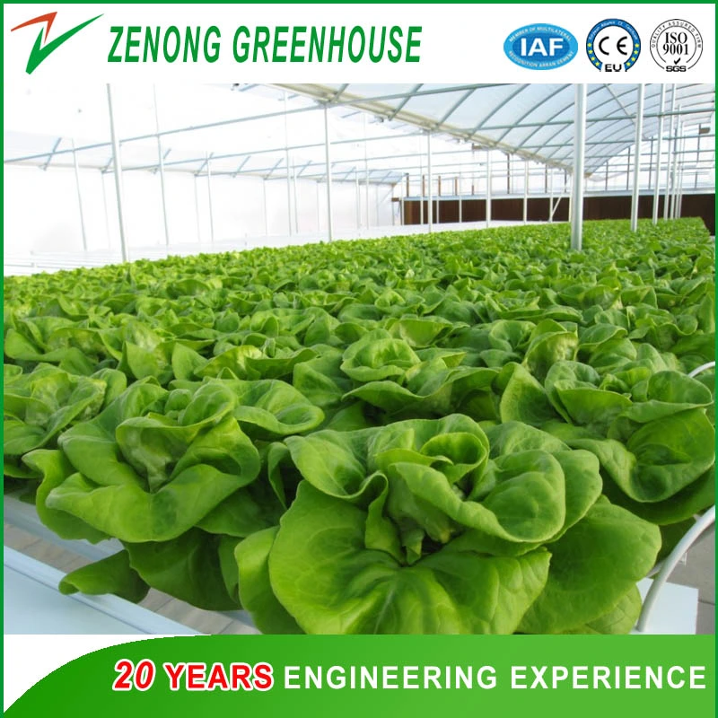 Insulation Greenhouse for Cold Area Planting Uses Energy Saving Greenhouse Double Arch Double Film Greenhouse