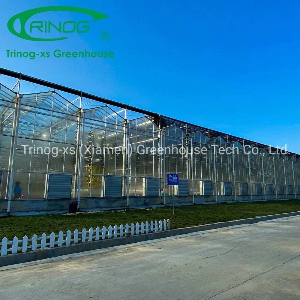 Agriculture Vegetables Planting Commercial Galvanized Steel Pipe Structure Glass Greenhouse with Inner Shading System for Sale