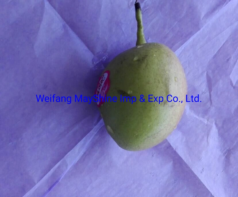 Wrapping Fruit Tissue Paper Colored Wrap Fruit Paper for Wrapping on Wholesale/Supplier