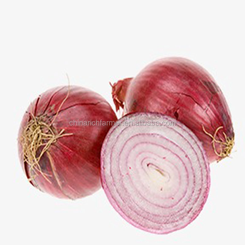 Natural Fresh Red Onion Export