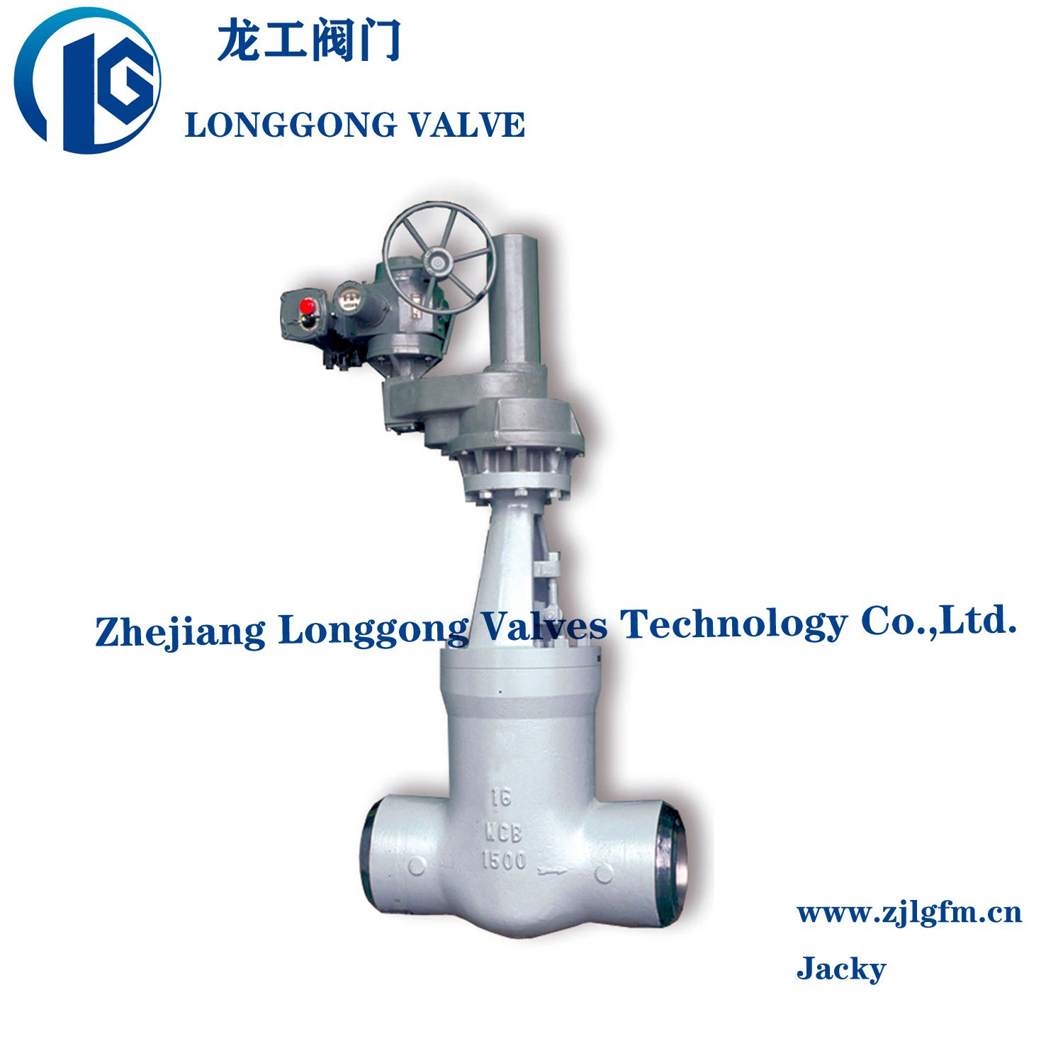 Nace Mr 0175 API600 Cast Steel/Stainless Steel, Wcb&CF8&CF8m Butt Welded Flexible Wedge Bolted Bonnet Rising Stem Gate Valve&Globe Valve