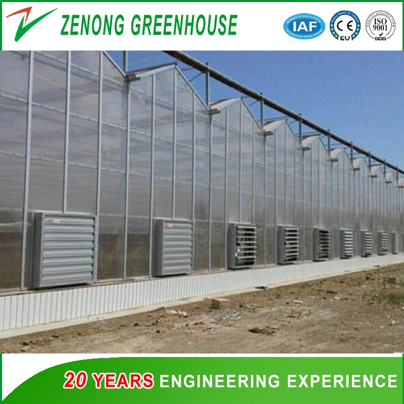 Prefabricated Building Polycarbonate Sheet Multi-Span Greenhouse for Tourism/Flower Cultivation/Seedling Breeding