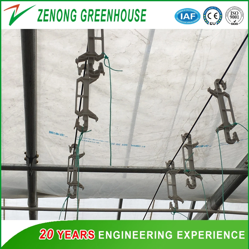 Easy Operation Small Size Single Span Po/PE/EVA Film Green House for Gardening/Hydroponics/Hotel Vegetable Cultivation