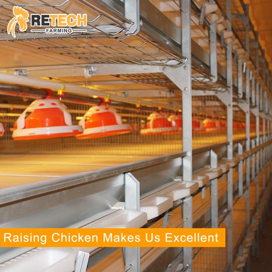 Factory sale H type automatic broiler poultry farm equipment