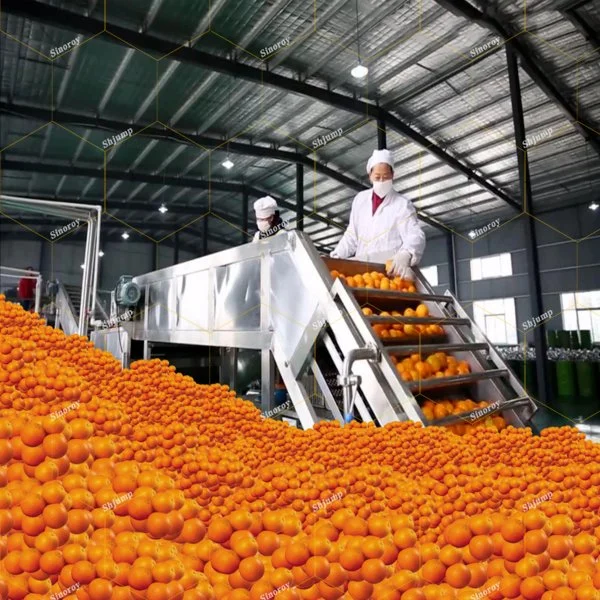 2 toneladas línea de procesamiento de bebidas alcohólicas de color naranja/línea de producción de jugo de naranja/Naranja Máquinas de procesamiento de jugos