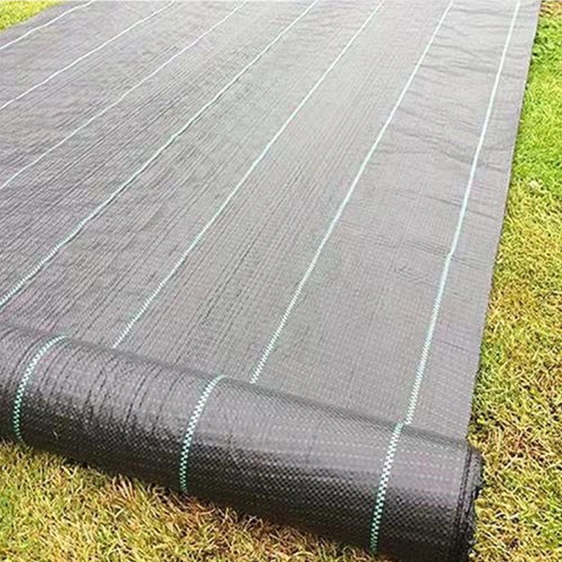 Tapis de gazon artificiel pour le bain tapis de plancher de la plage de plein air Décoration synthétique étages voiture Pet semences réel Terrain de jeux en caoutchouc de la couverture du sol