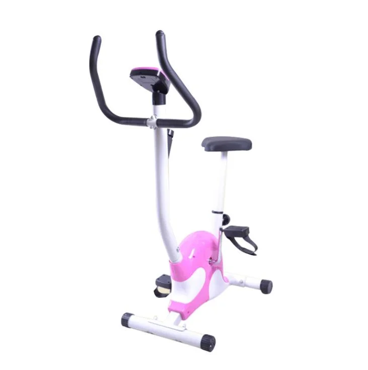 Gym Magnetic Household Spin Resistance Exercise Bicycle Training Fitness Spinning Bike