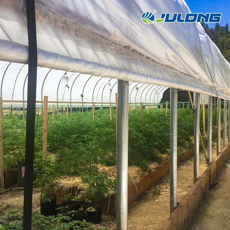 Agriculture Tunnel Light Deprivation Blackout Single Span Film Greenhouse for Medical Plants with LED Grow Lights