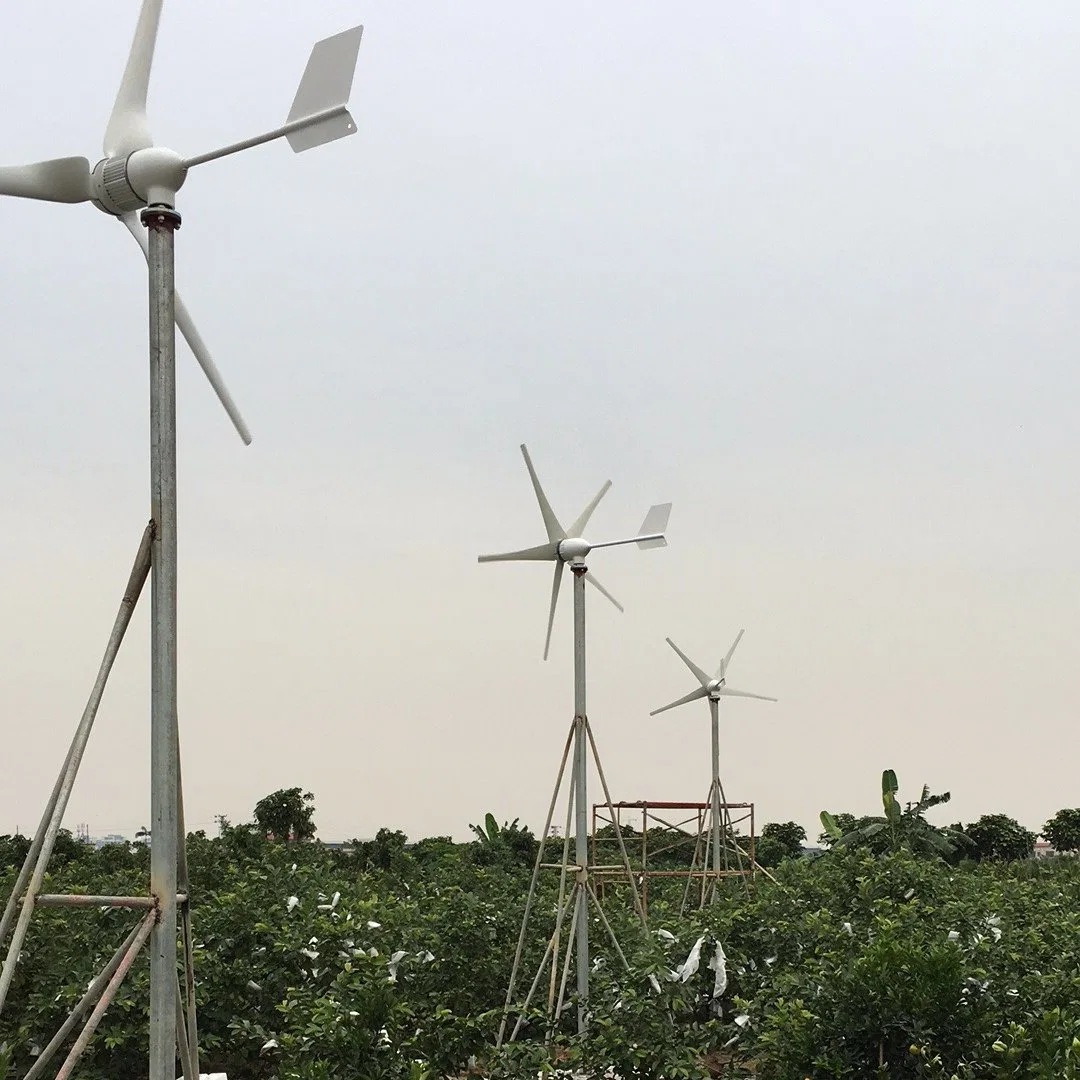 1500W Good Quality Wind Turbine Generator Best Choice