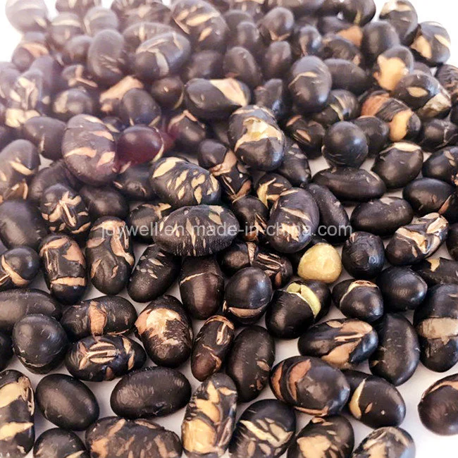 Hot Sale Natural Snacks Roasted Black Bean High Nutrition