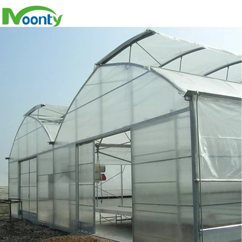 Factory Customized Turnkey High Quality Multispan Plastic Film Greenhouse with Hydroponics System