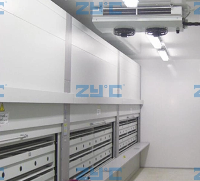 Container Fast Frozen Cold Room Refrigerator Commercial Blast Freezer Quick Commercial Cold Room Storage