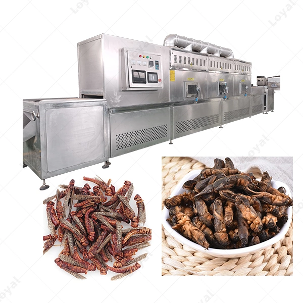 Black Soldier Fly Larvae Cricket Grasshopper Mealworm Insect Microwave Drying Sterilization Machine