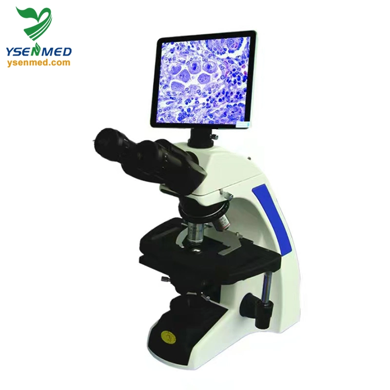 Medical Equipment Ysxwj-Bx-301b Medical Use Digital Binocular Video Microscope