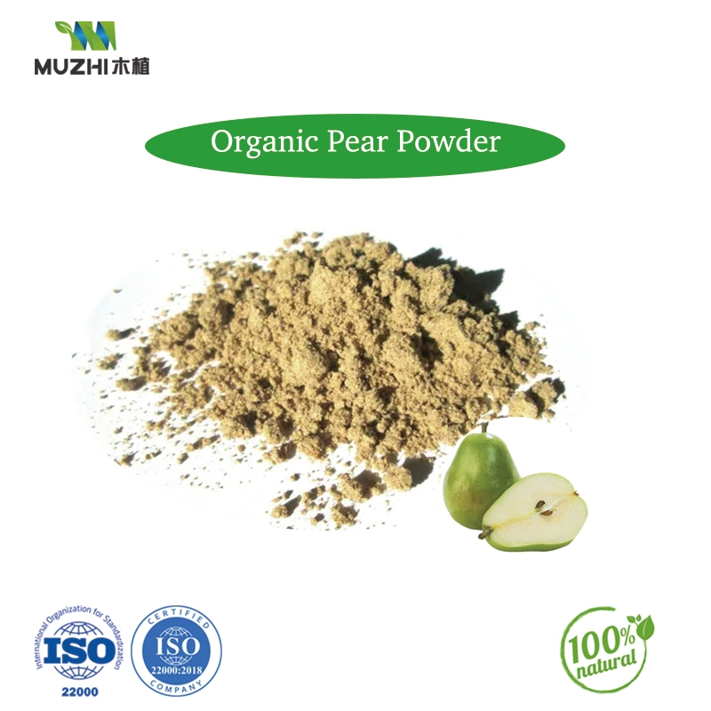 Organic Monk Fruit Extract Powder Natural Herbal