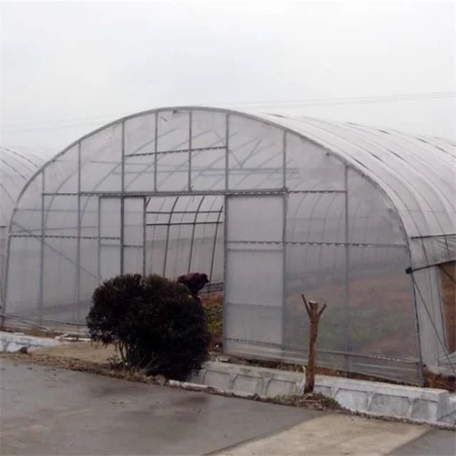 WMGH027 Supplier Multi-span flower green house Plastic Film Agriculture Greenhouses