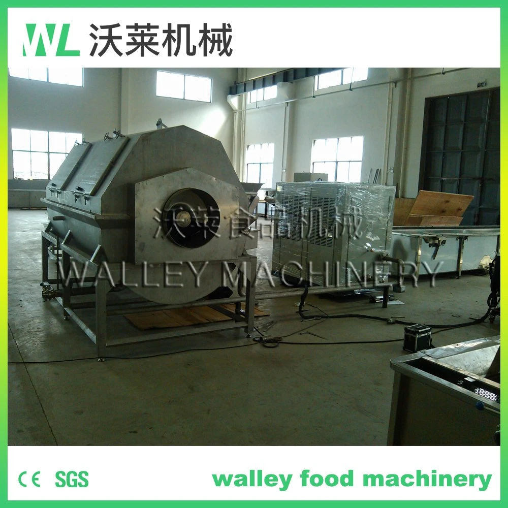 Factory Price Industrial Automatic Spiral Type Ice Water Cooler