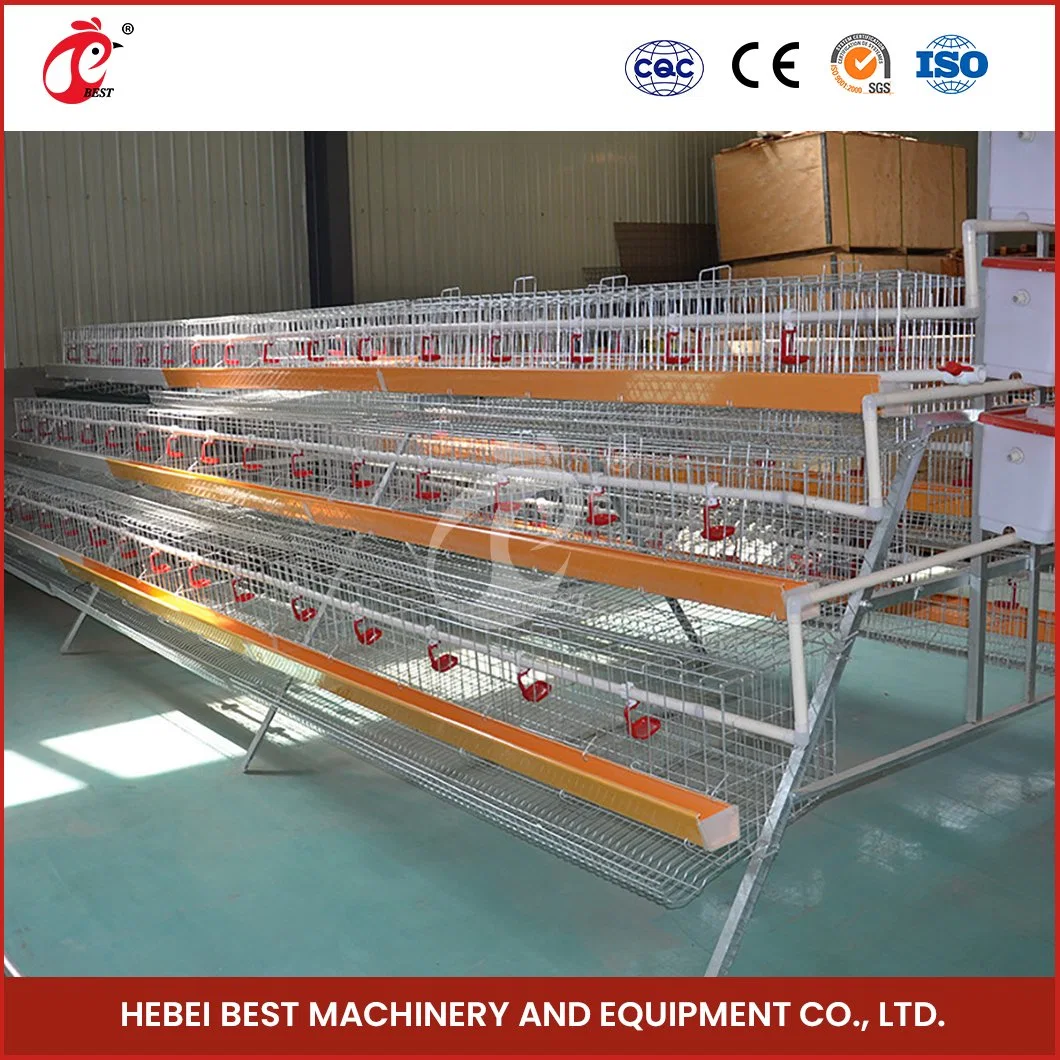 Bestchickencage a Type Small Cage Breeder Cage China Tin Baby Hen Coop Factory Sample Available Reasonable Cage Width Designs Iron Wire Pullet Chicken Cage