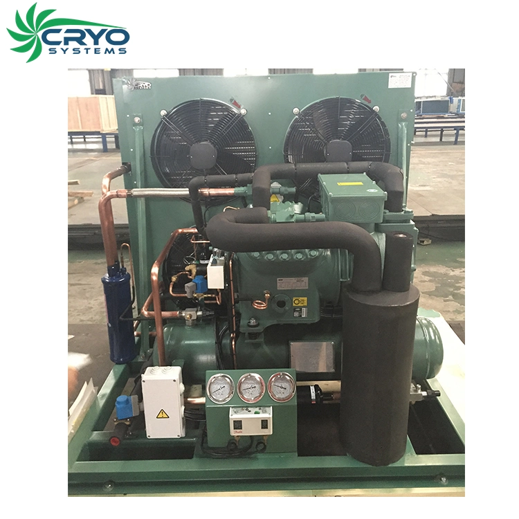 Floor Standed Refrigeration Unit Condensing Units Cold Room Equipment