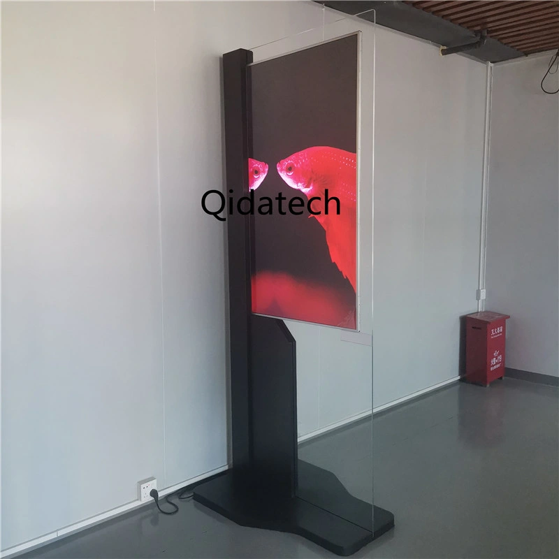 Manufacture Good Quality 55" Double Sides OLED Display