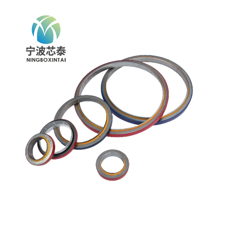 Good Quality Do Not Run Oil PTFE Oil Seal for Air Compressor with All Kind of Sizes