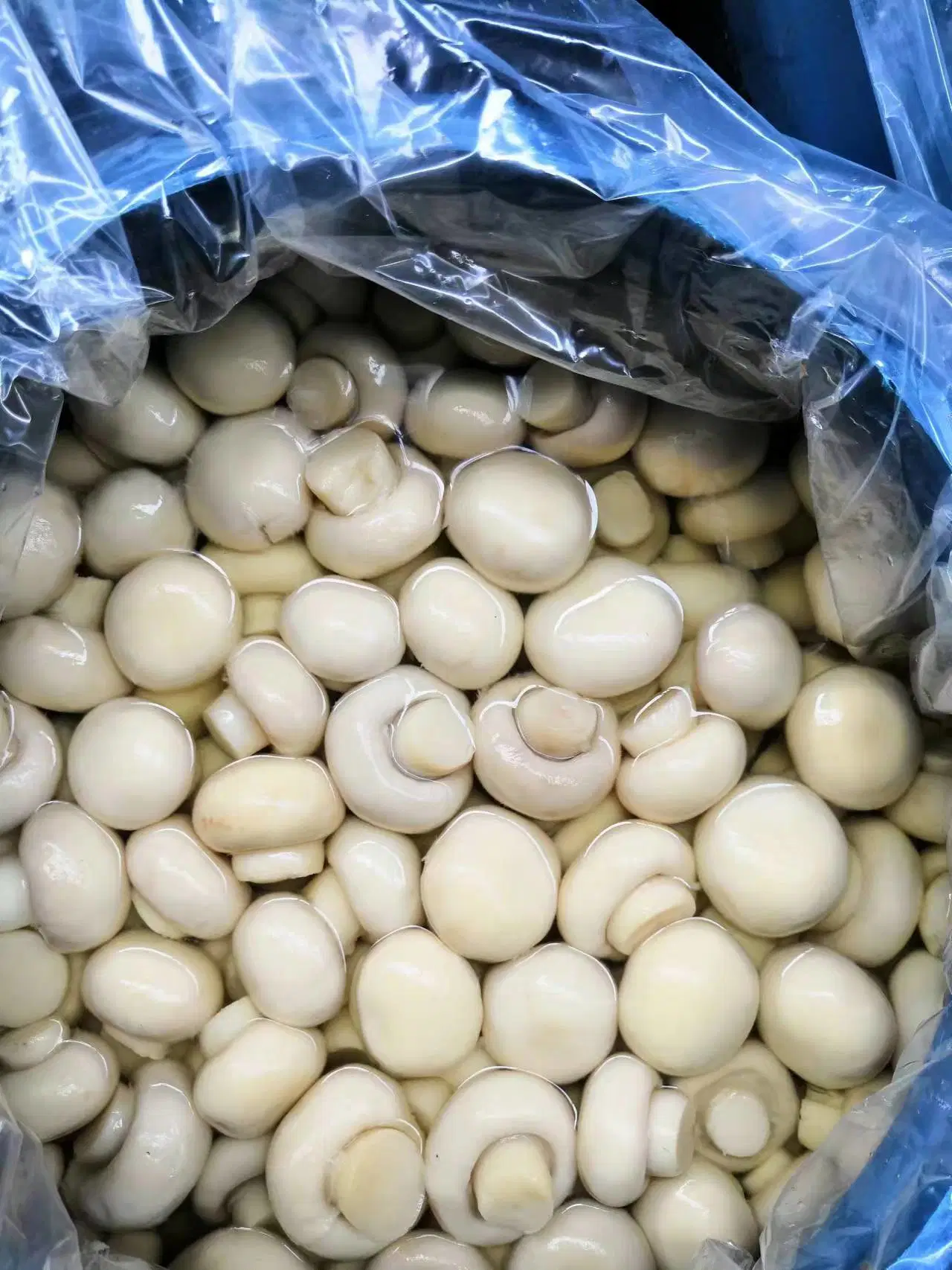 China 2023 New Crop Canned Whole Mushroom