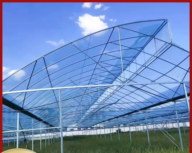 Solar-Powered Glass Greenhouse Steel Hollow Section with Hydroponic System for Year-Round Strawberry Production