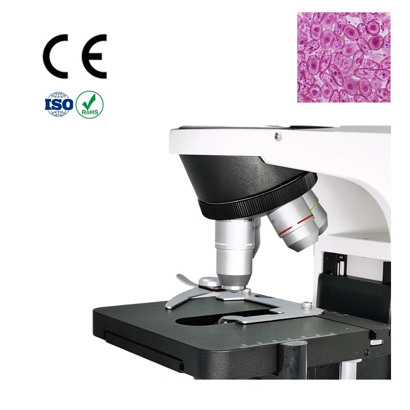 1600X Clinic Trinocular Microscope for Laboratory University