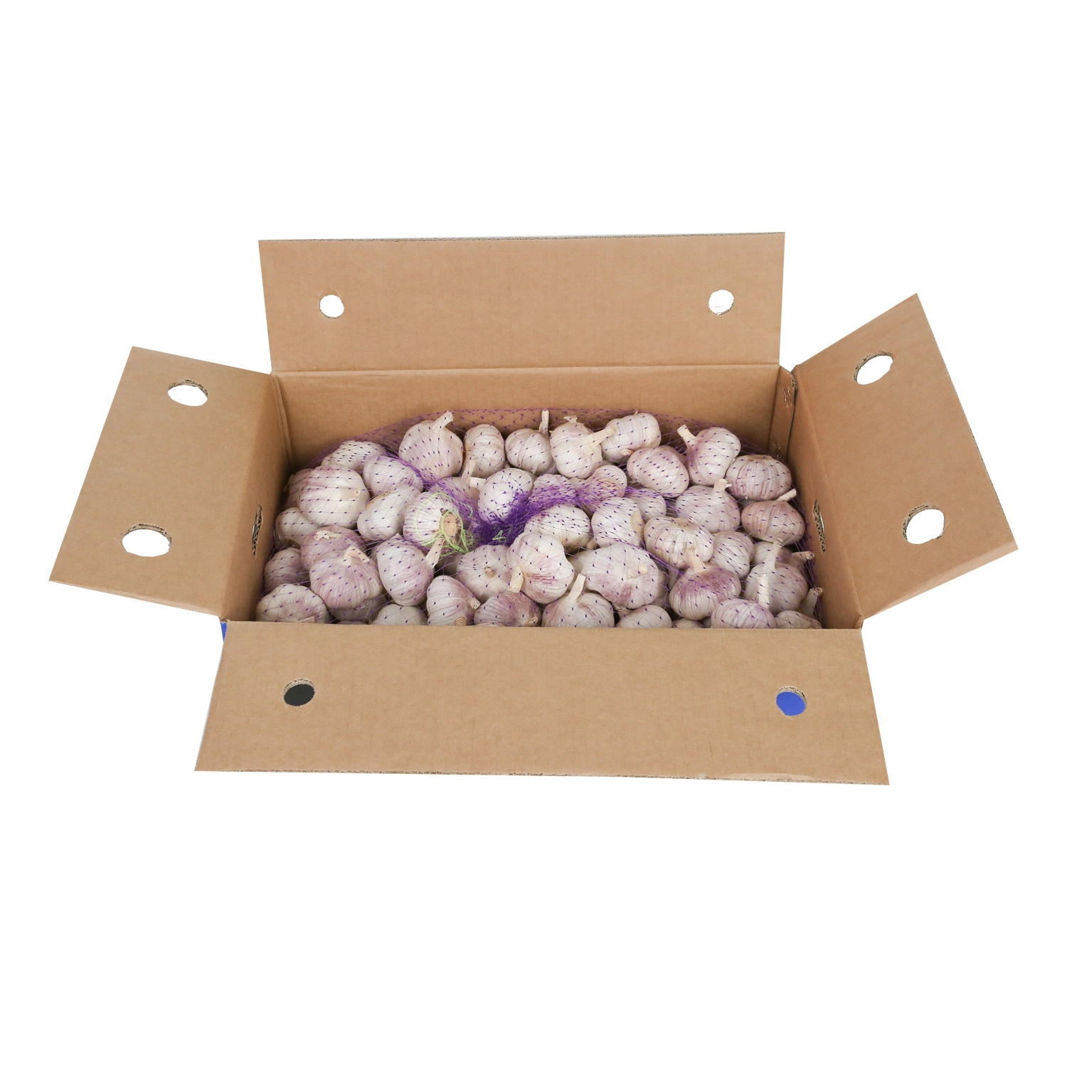 New Crop Good Quality Chinese Fresh White Garlic