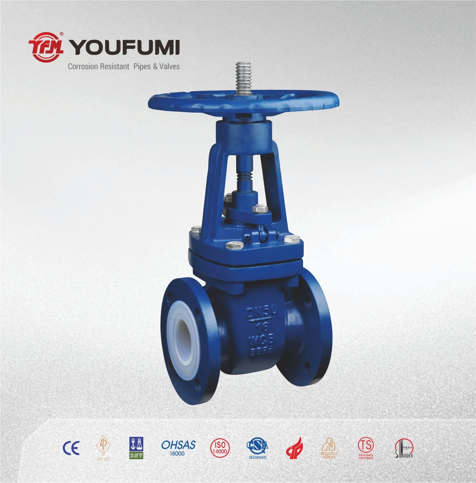 ANSI Flange Type PFA Lined Gate Valve Wcb