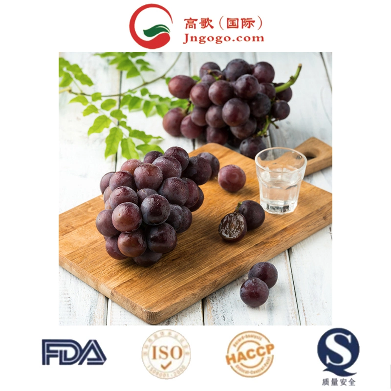 2023 Hot Selling, Lowest Price Fresh Fruit Vitamin Organic Grapes Fresh Sweet Red Globe Grapes