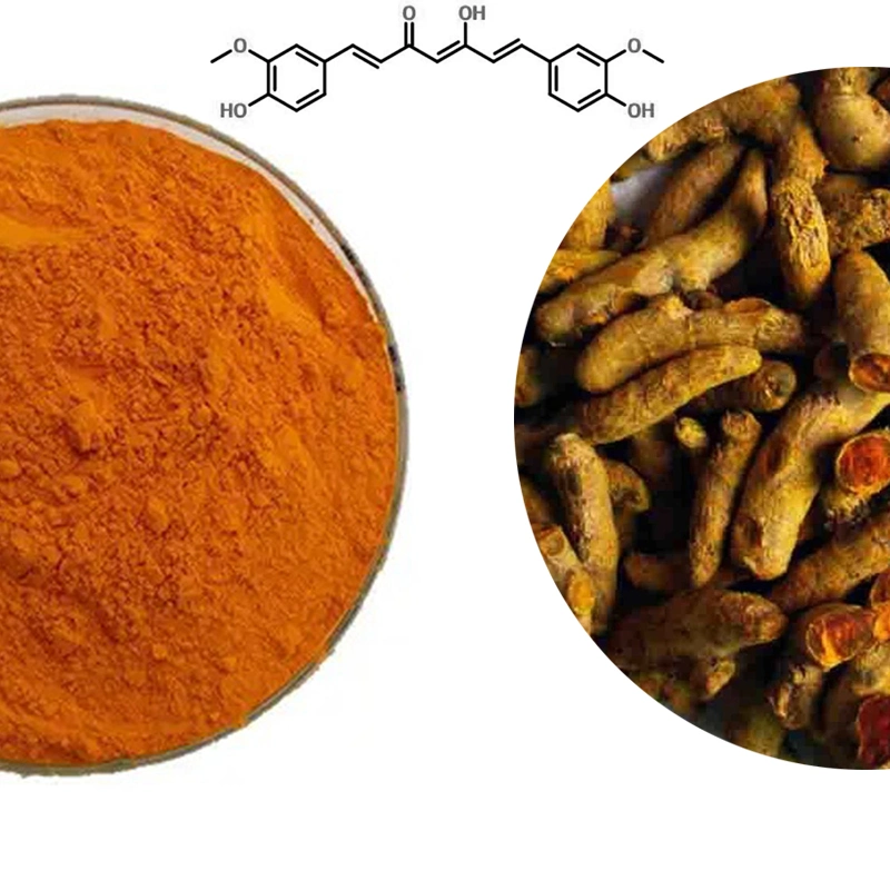 La alta calidad a bajo precio un 98% de la curcumina sintético a granel en polvo
