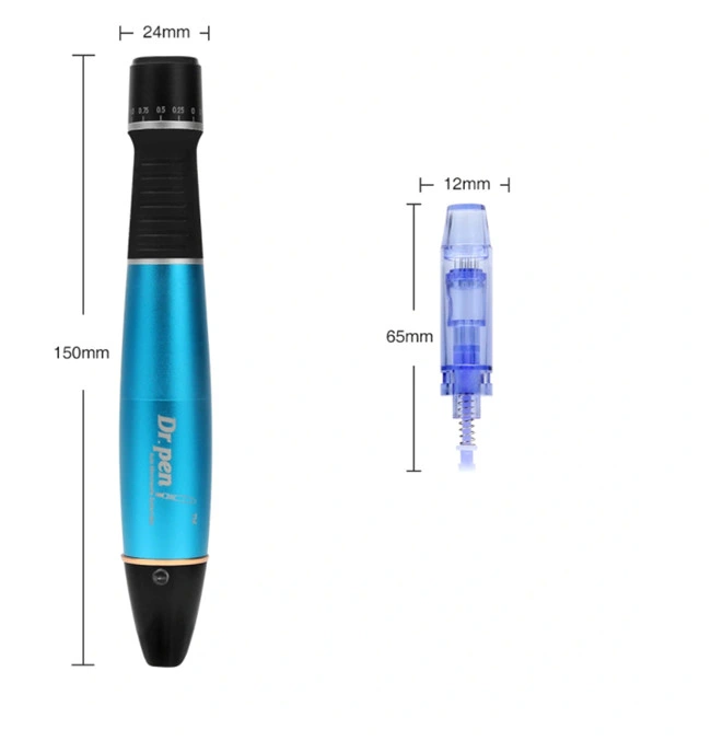 Bolígrafo recargable Microneedling Derma con agujas para rejuvenecimiento de la piel