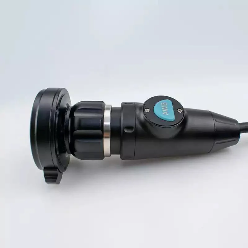 Factory Price Portable USB Endoscope Camera for Ent Connect with Computer