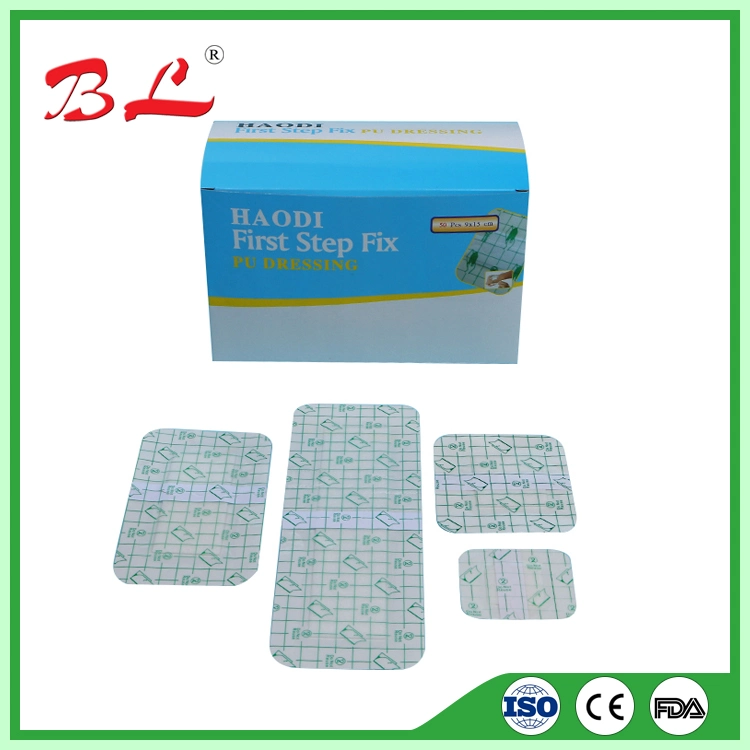 Sterile Medical PU Transparent Adhesive Wound Care Dressing Packs with/Without Pad -F