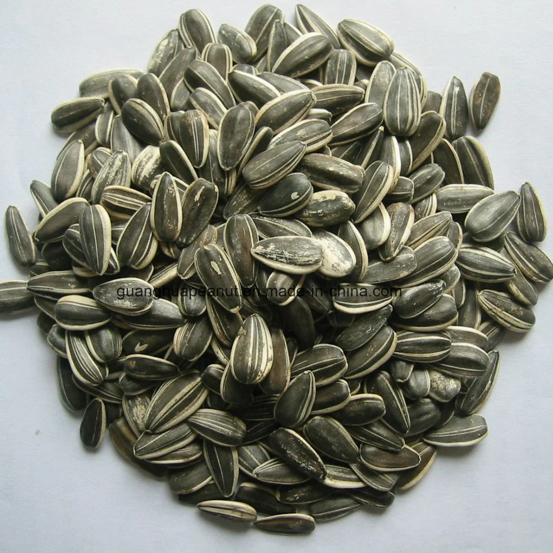 Hot Sale Sunflower Seeds From China