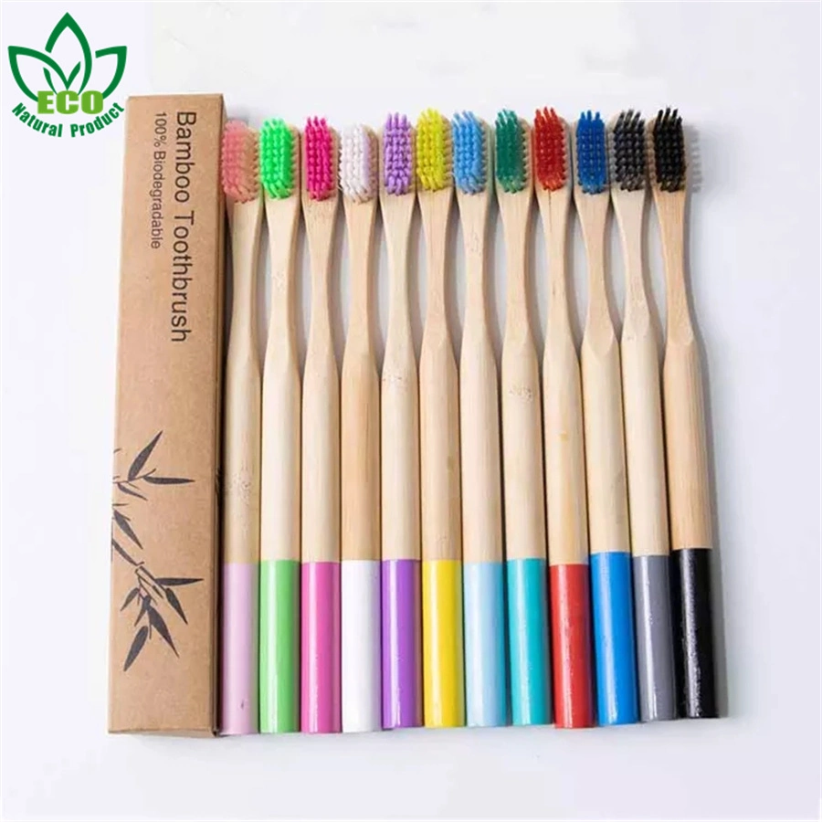 China Product Travel Toothbrush Hotel Disposable Round Handle Color Household Hospitality Toothbrush