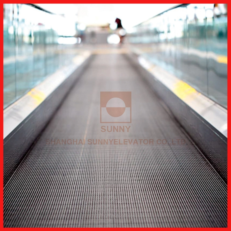 0&deg; Large Passenger Flow Moving Walk Escalator