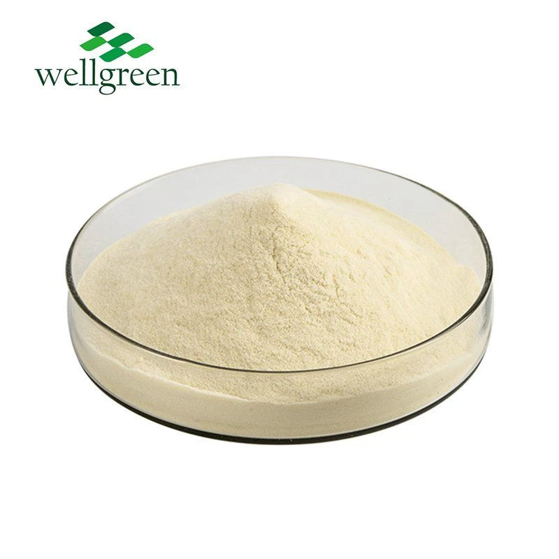 Wellgreen Supply Food Grade Black Garlic Extract Powder 10% Allicine