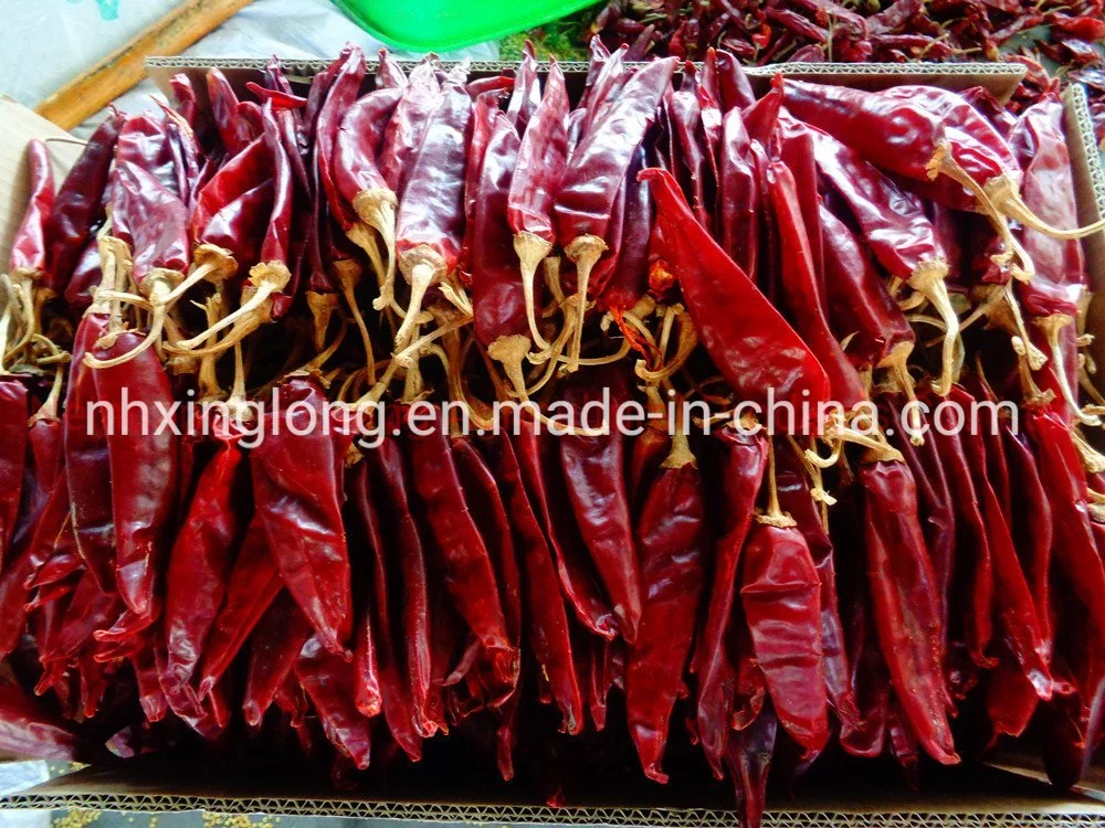 Chinese Chilli Factory/Yidu Chilli/Sweet Paprika Chilli/Dried Jinta Chili/Puya Chili/Mexico Guajillo Chili