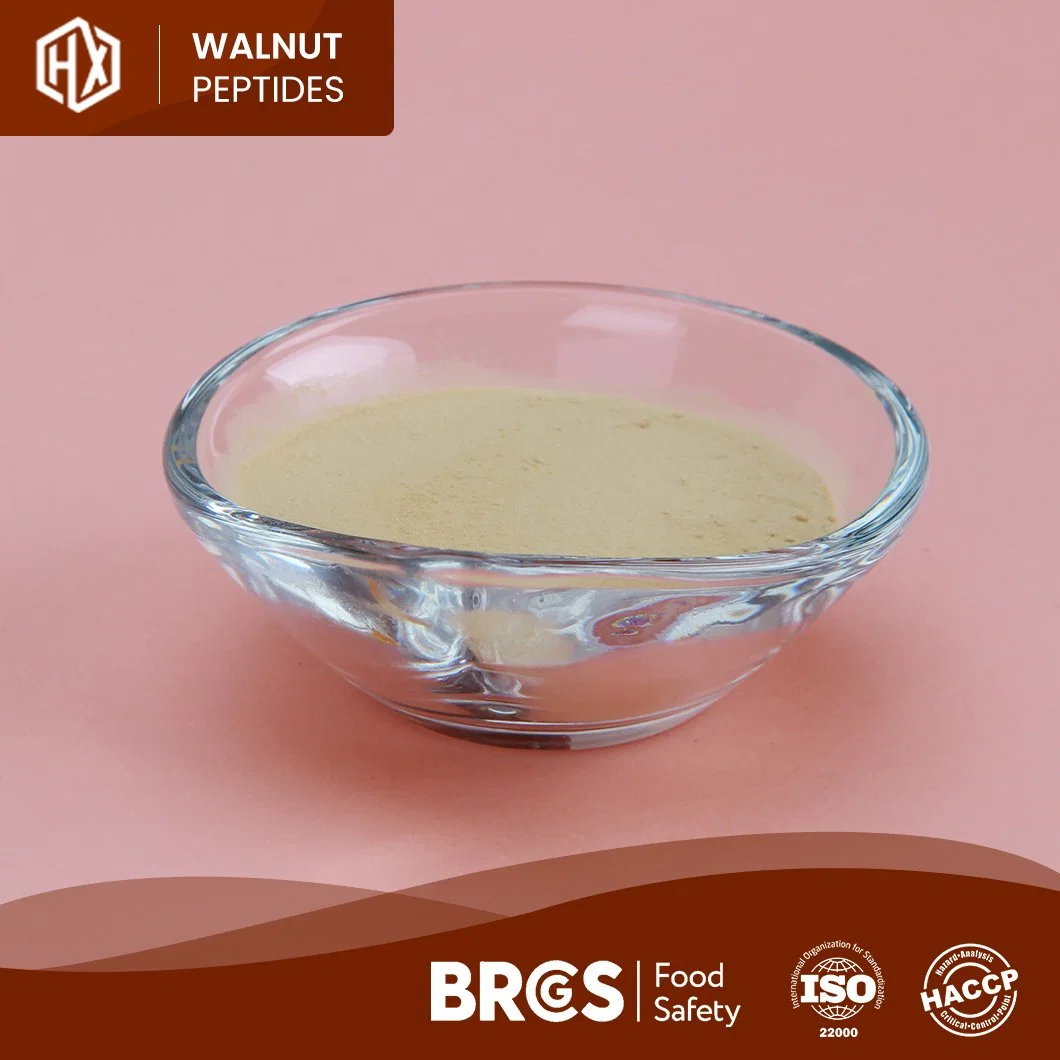 Haoxiang Wholesale/Supplier Bulk High Purity Walnut Peptides in Immune Anti-Fatigue Customized Clear Hydrolyzed Instant Textured Isolate Walnut Peptides Protein Powder