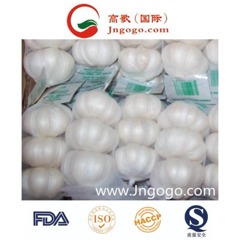 2023 Crop Fresh Chinese New Normal White Garlic